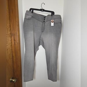 Lane Bryant Jegging